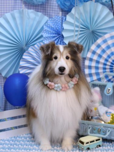 20231114カレンちゃん